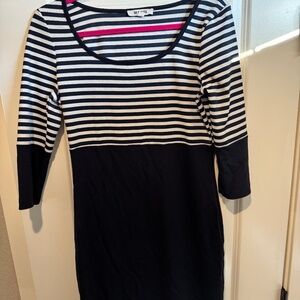 BB Dakota Navy Striped Dress